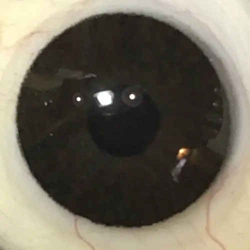 Black Prosthetic Contact Lens